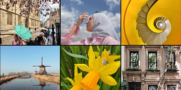  A screengrab of the image results on Instagram upon searching #shotoniphone